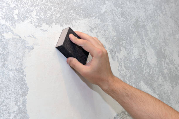 Best Water Damage & Mold Remediation  in Townsend, MT