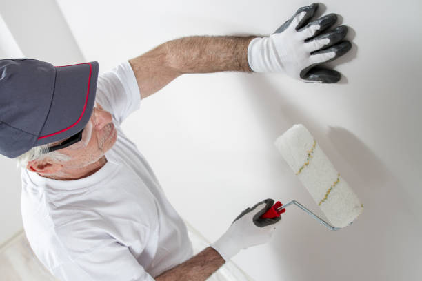 Townsend, MT Mold Removal Company