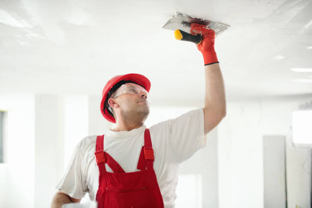 Best Emergency Mold Remediation  in Townsend, MT