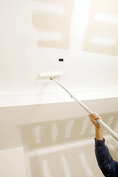 Best Mold Documentation for Insurance Claims  in Townsend, MT