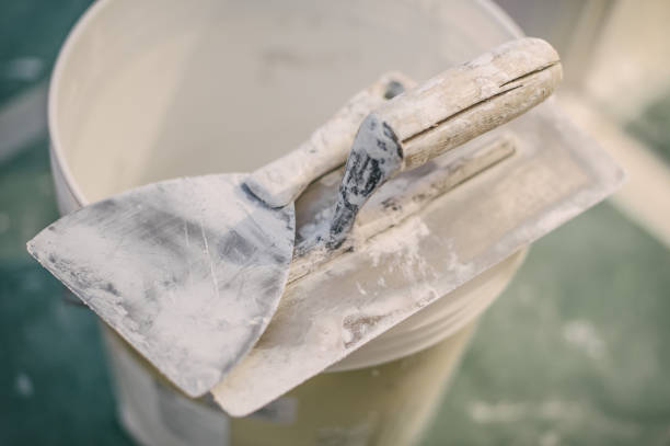 Best Post-Construction Mold Inspection  in Townsend, MT